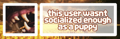 this user wasn't socialized enough as a puppy